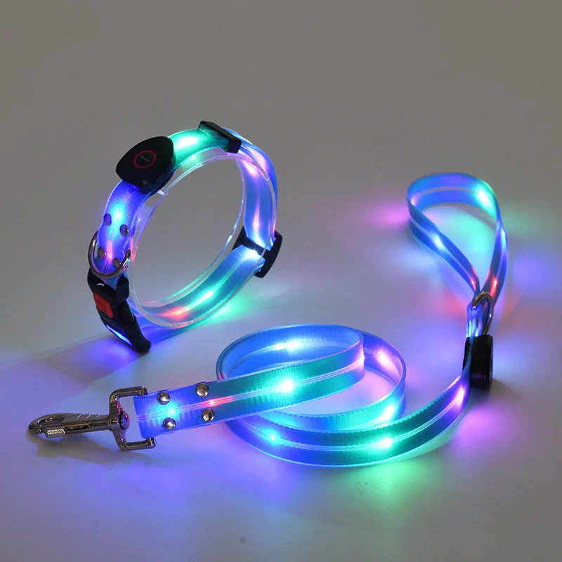 Hundehalsbånd med LED lys og snor - NightBright