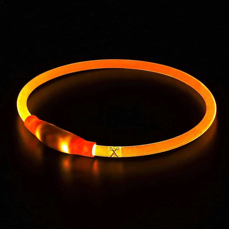 GlowSafe LED Hundehalsbånd – Genopladeligt USB Sikkerhedslys