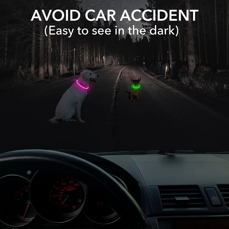 GlowSafe LED Hundehalsbånd – Genopladeligt USB Sikkerhedslys