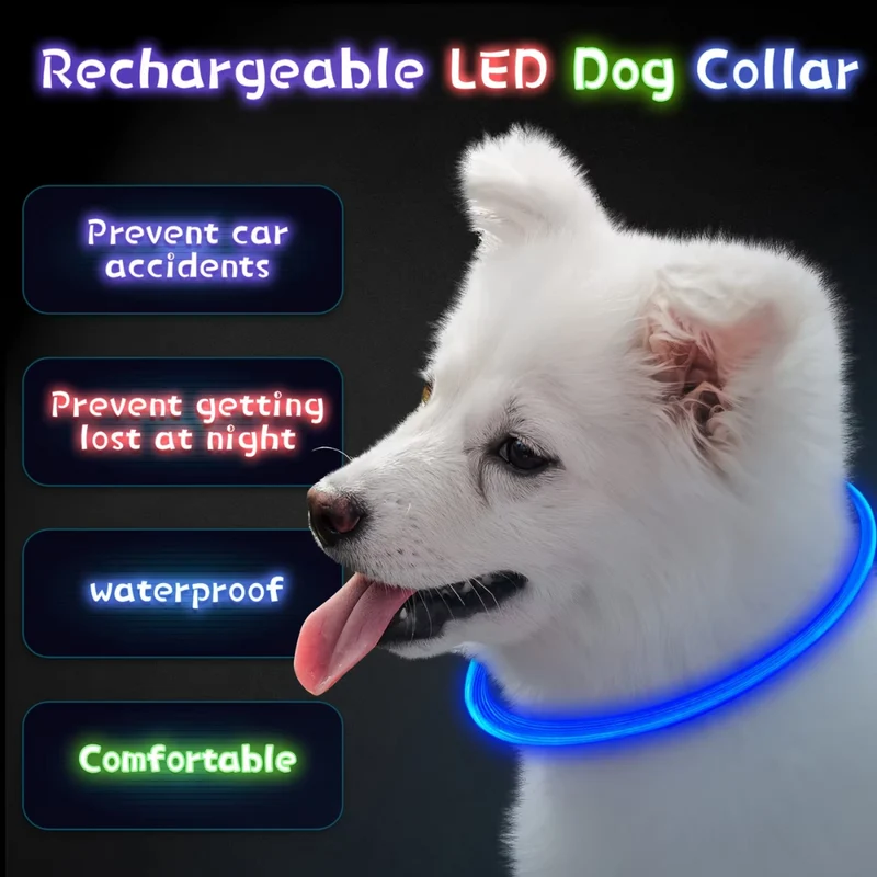 GlowSafe LED Hundehalsbånd – Genopladeligt USB Sikkerhedslys