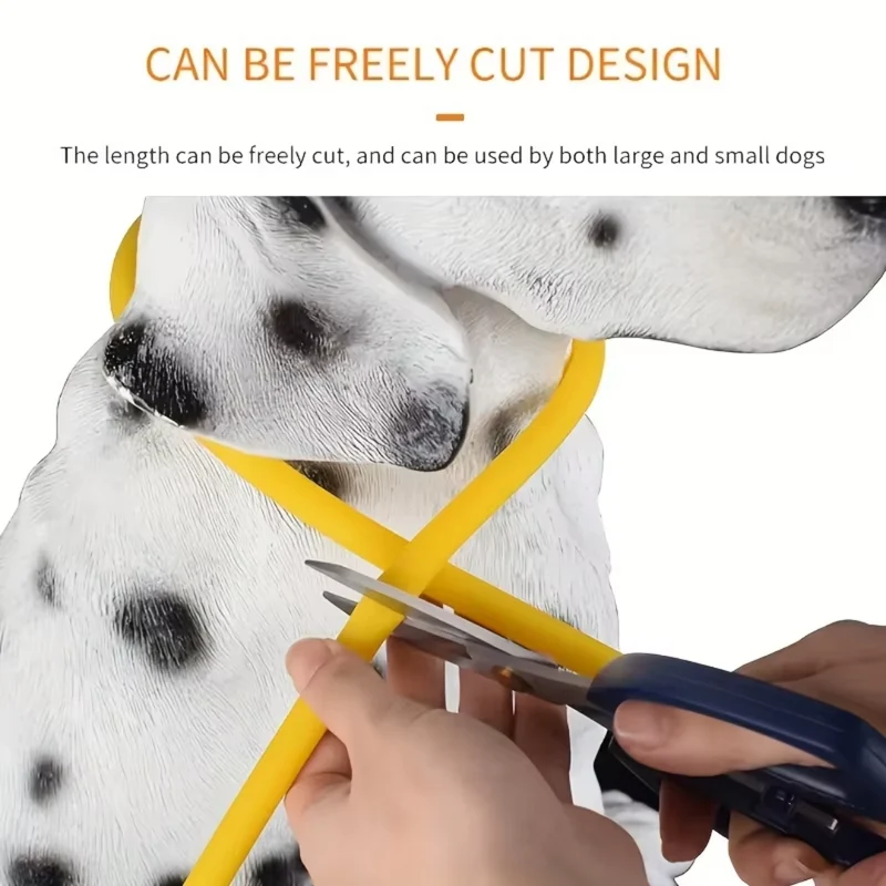 GlowSafe LED Hundehalsbånd – Genopladeligt USB Sikkerhedslys