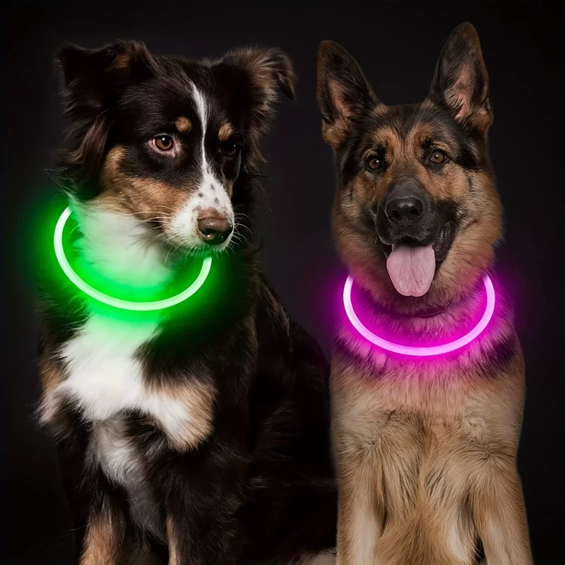 GlowSafe LED Hundehalsbånd – Genopladeligt USB Sikkerhedslys