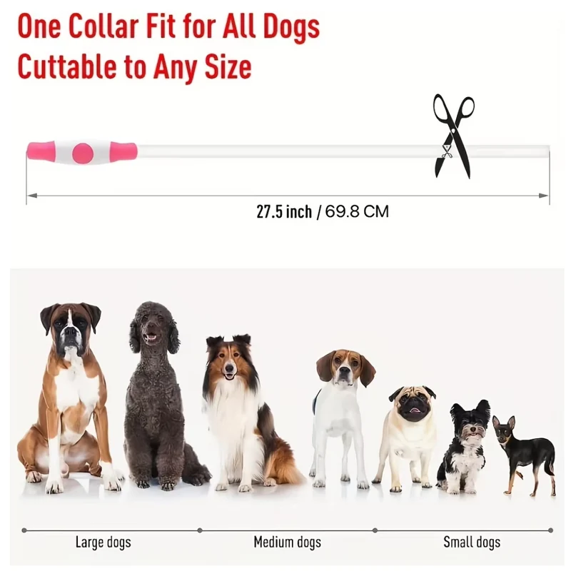 GlowSafe LED Hundehalsbånd – Genopladeligt USB Sikkerhedslys