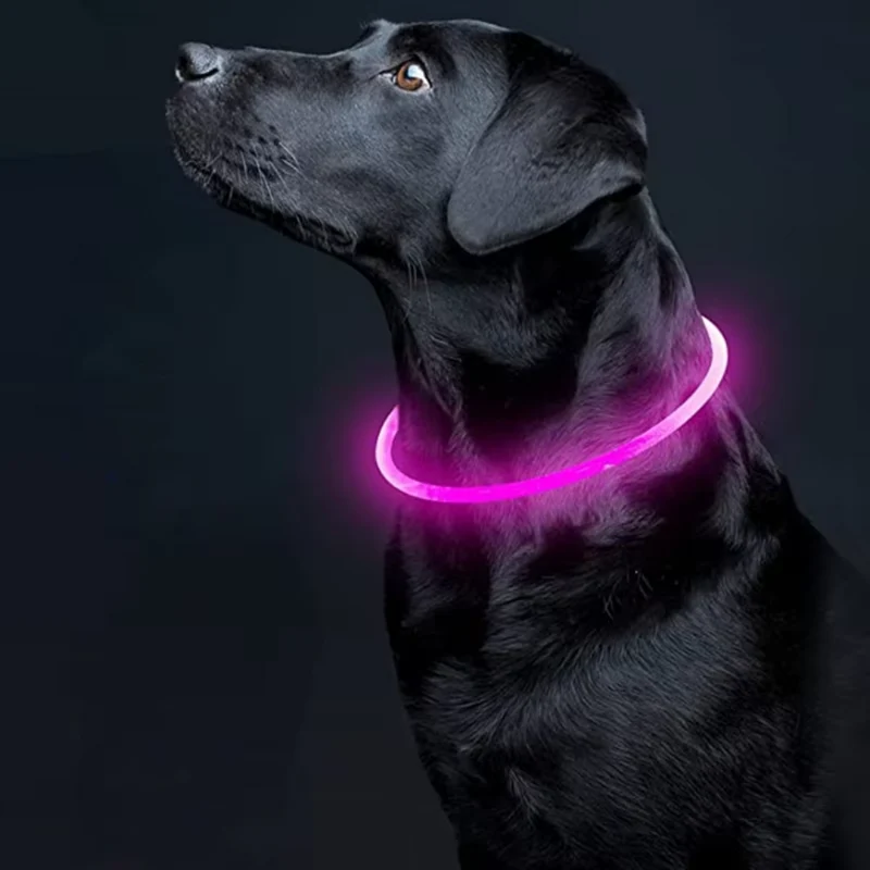 GlowSafe LED Hundehalsbånd – Genopladeligt USB Sikkerhedslys
