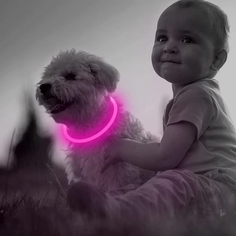 GlowSafe LED Hundehalsbånd – Genopladeligt USB Sikkerhedslys