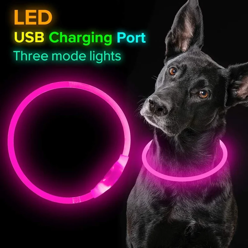 GlowSafe LED Hundehalsbånd – Genopladeligt USB Sikkerhedslys
