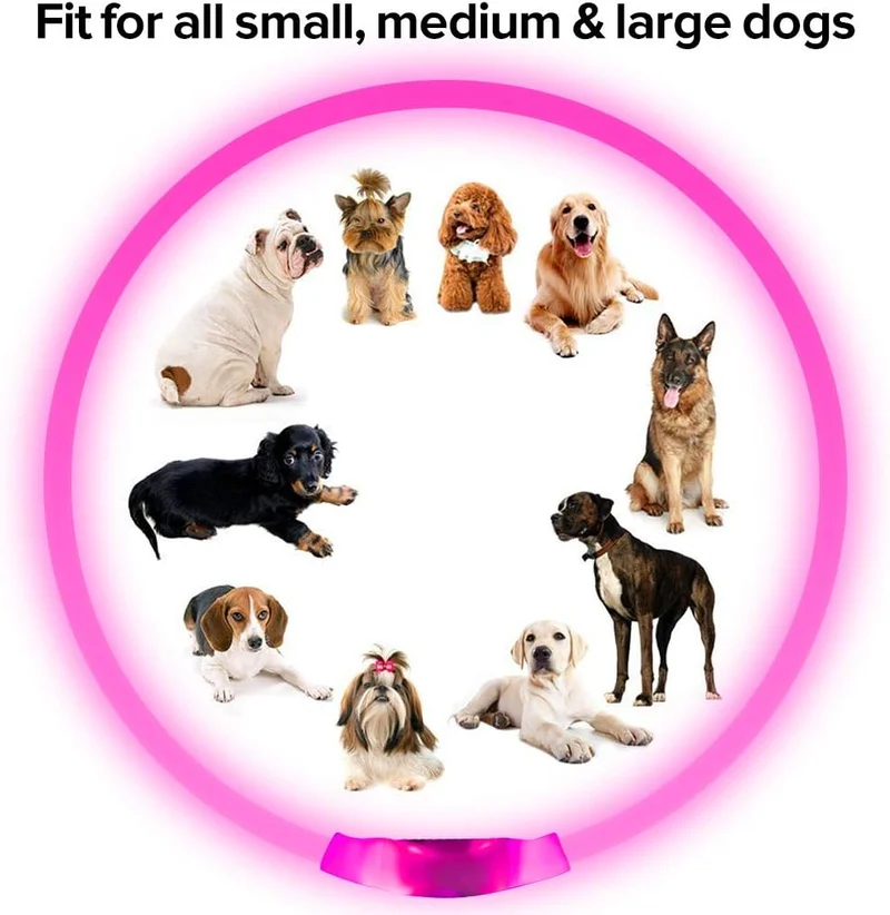 GlowSafe LED Hundehalsbånd – Genopladeligt USB Sikkerhedslys