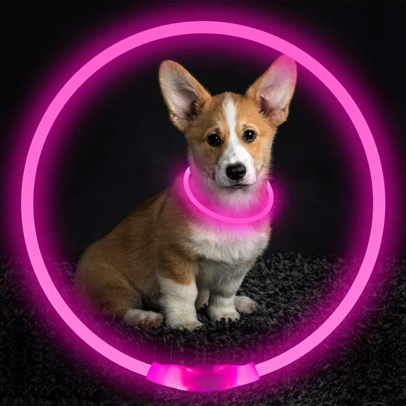 GlowSafe LED Hundehalsbånd – Genopladeligt USB Sikkerhedslys