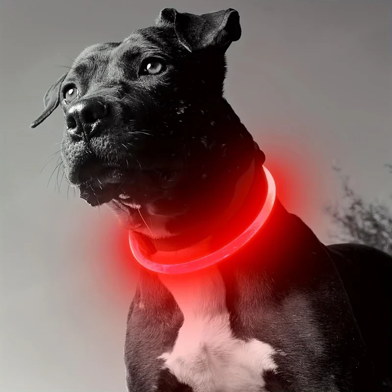 GlowSafe LED Hundehalsbånd – Genopladeligt USB Sikkerhedslys