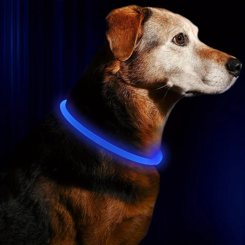 GlowSafe LED Hundehalsbånd – Genopladeligt USB Sikkerhedslys