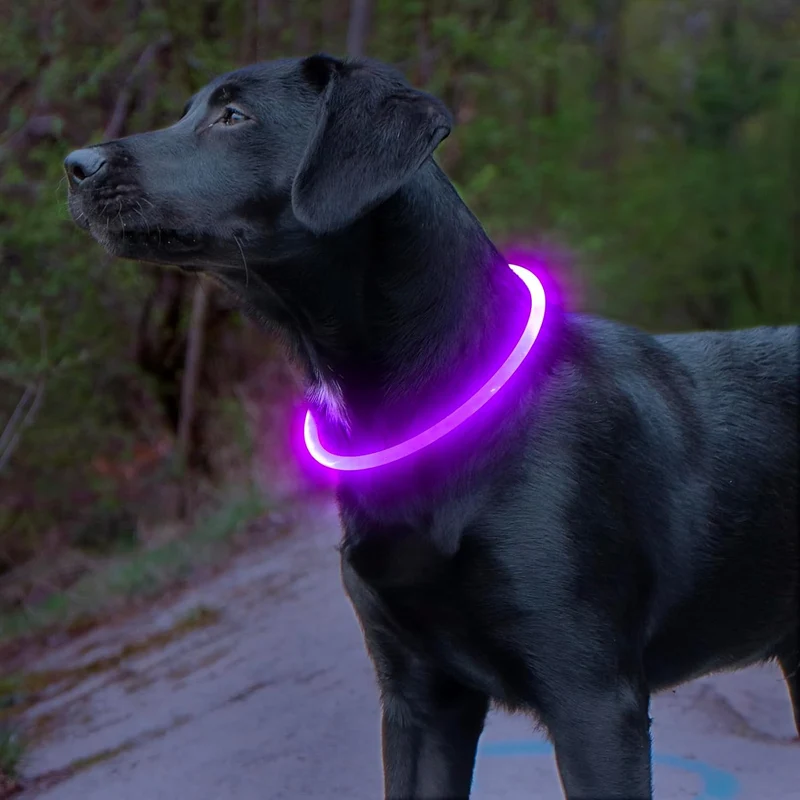 GlowSafe LED Hundehalsbånd – Genopladeligt USB Sikkerhedslys