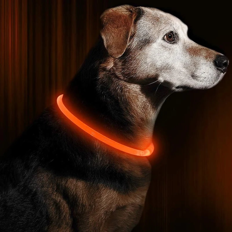 GlowSafe LED Hundehalsbånd – Genopladeligt USB Sikkerhedslys