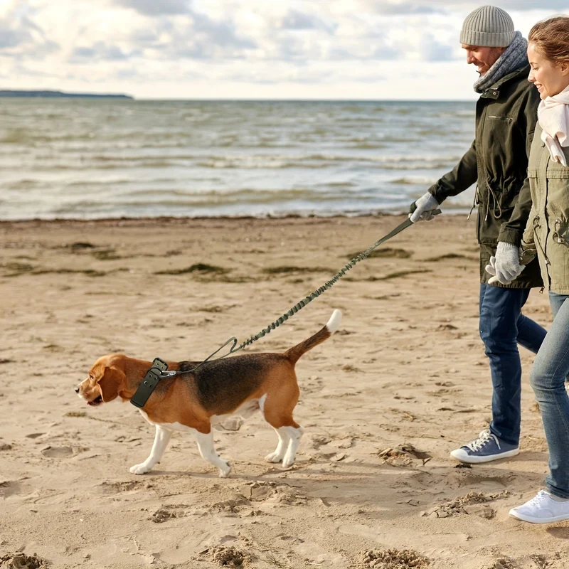 Justerbart Nylon Hundehalsbånd – Komfort og Kontrol til Store Hunde