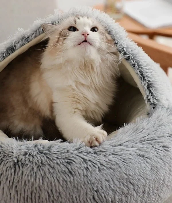 Blødt rede til hunde og katte - Beroligende seng