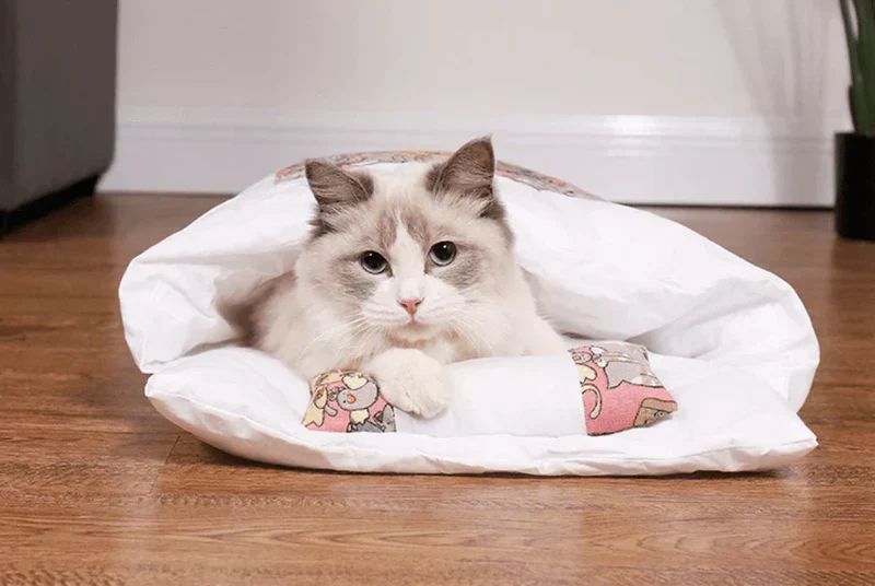 Vinter Sovepose til Katte – CozyPaws DreamNest