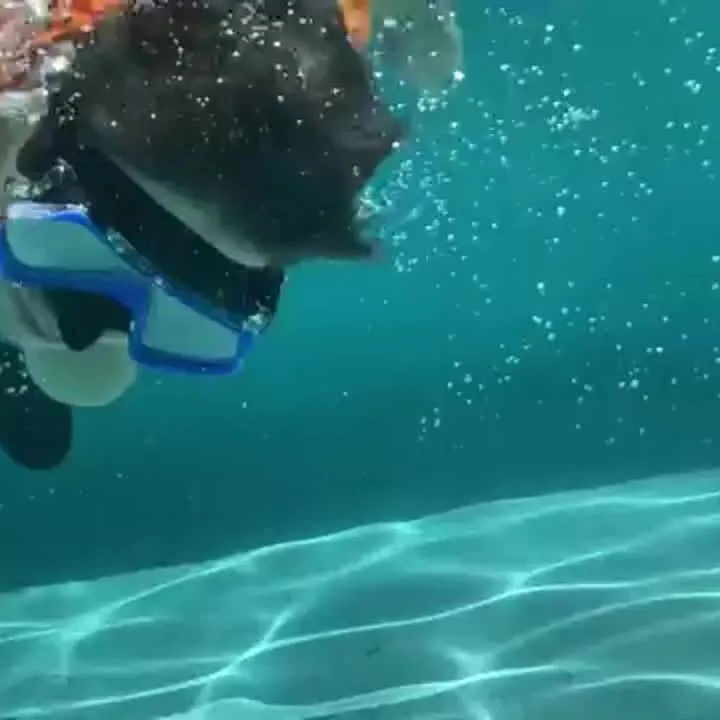 Snorkel Sæt ClearWave – Vandtæt, Komfortabel og Klar Udsigt