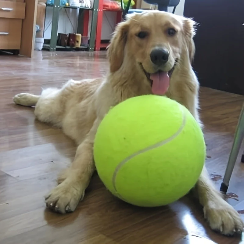 Ekstra holdbar tennisbold til store hunde – Perfekt til leg og udendørs aktiviteter