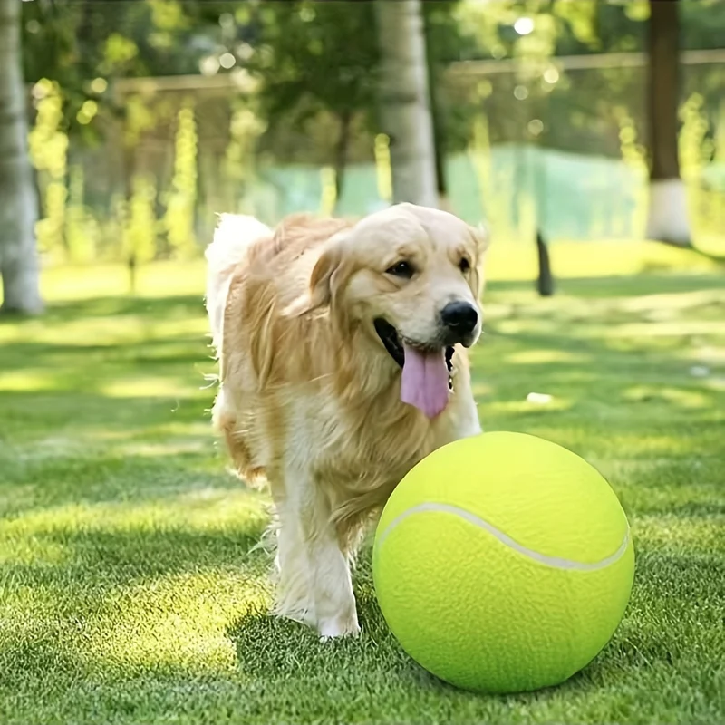 Ekstra holdbar tennisbold til store hunde – Perfekt til leg og udendørs aktiviteter