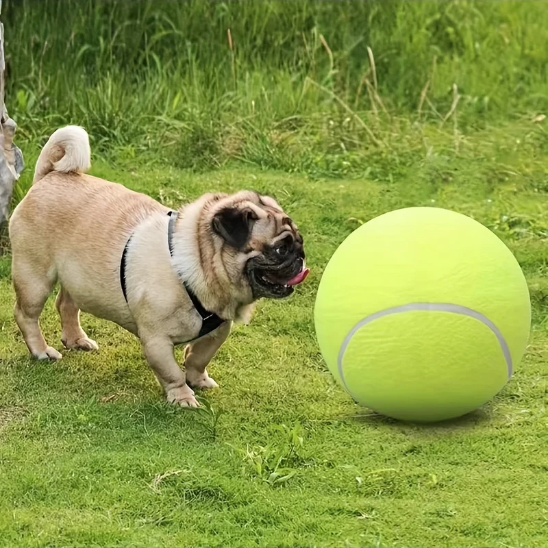 Ekstra holdbar tennisbold til store hunde – Perfekt til leg og udendørs aktiviteter
