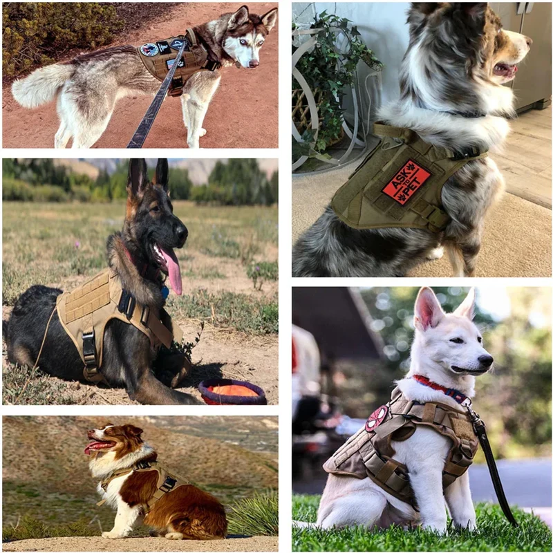 Militærstil Hundesele og Træningssnor til Store Racer