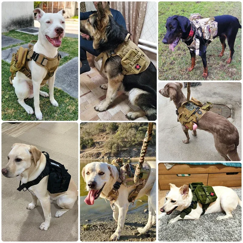 Militærstil Hundesele og Træningssnor til Store Racer