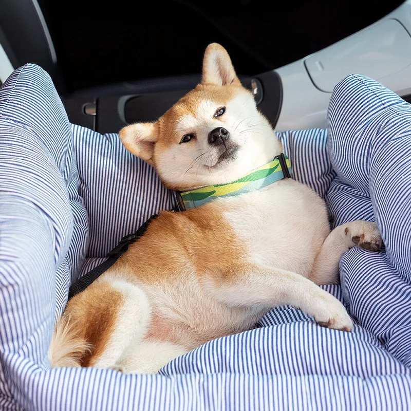 Behagelig hundeseng til bilen - Rejsevenlig