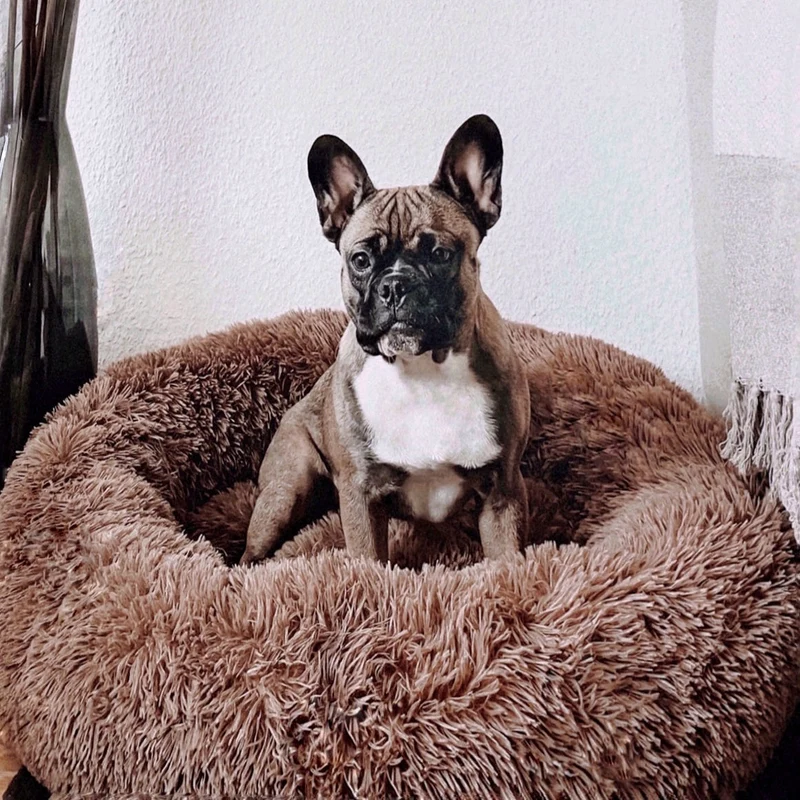 Fluffy Plus Hundeseng – Den Ægte