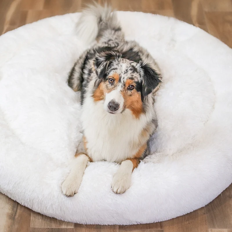 Fluffy Plus Hundeseng – Den Ægte