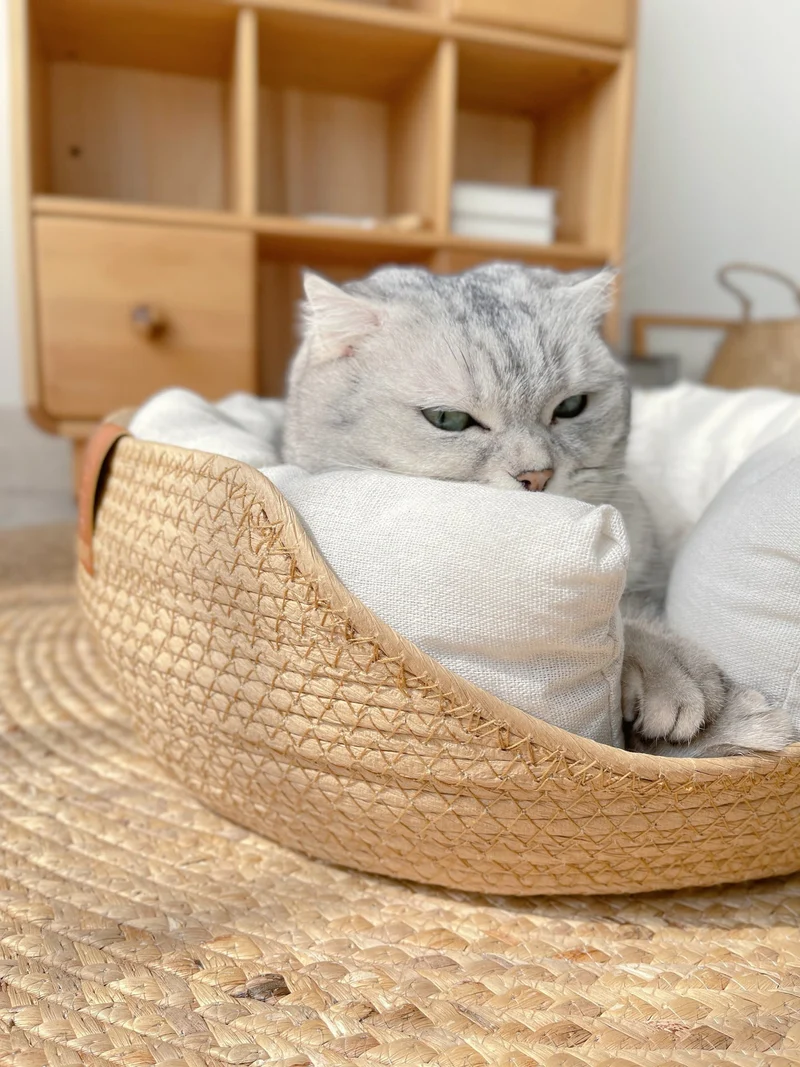 Håndlavet og komfortabel katte seng – LuxeSnooze