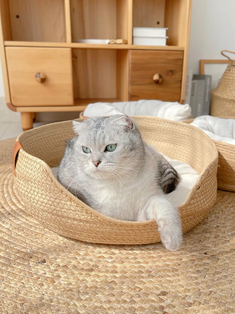 Håndlavet og komfortabel katte seng – LuxeSnooze