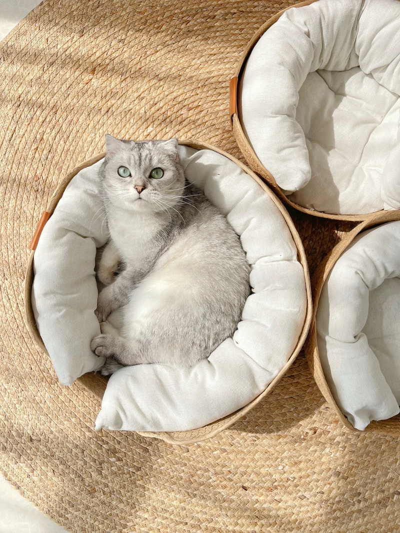 Håndlavet og komfortabel katte seng – LuxeSnooze