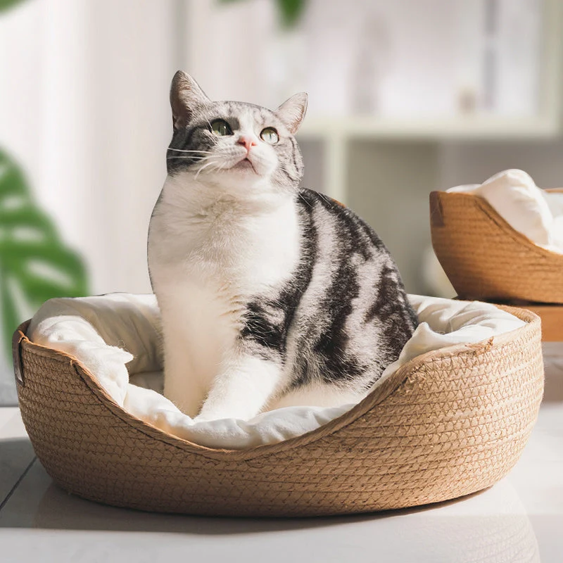 Håndlavet og komfortabel katte seng – LuxeSnooze