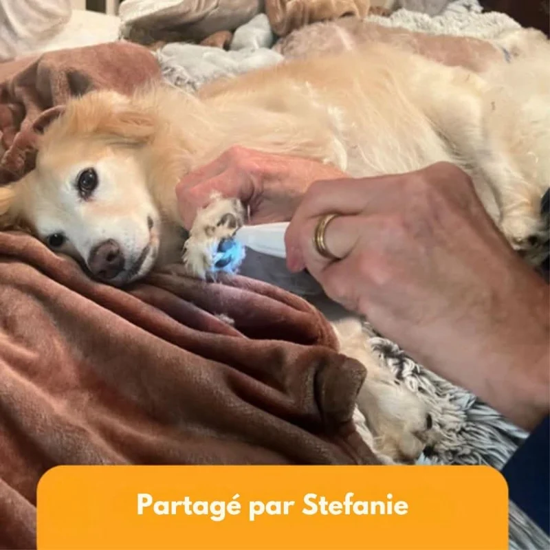 PawsitiveTrimmer – Den stille trimmer til dit kæledyrs pleje