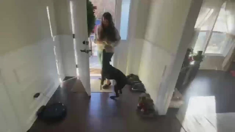 Intelligent Træningskrave – Genopladelig fjernbetjening til hunde