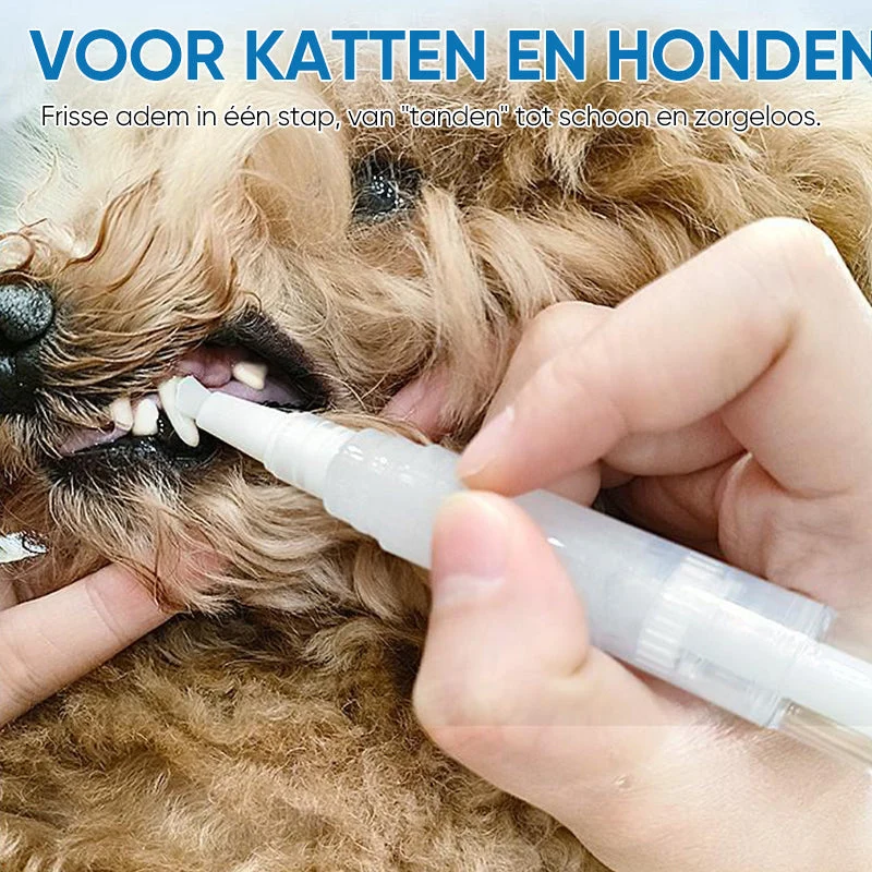 Tandbørste til Husdyr - Dyrevenlig Pleje