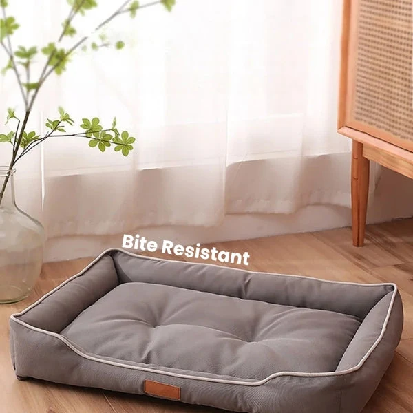 Kæledyrsseng – Ergonomisk Design til Sund Søvn