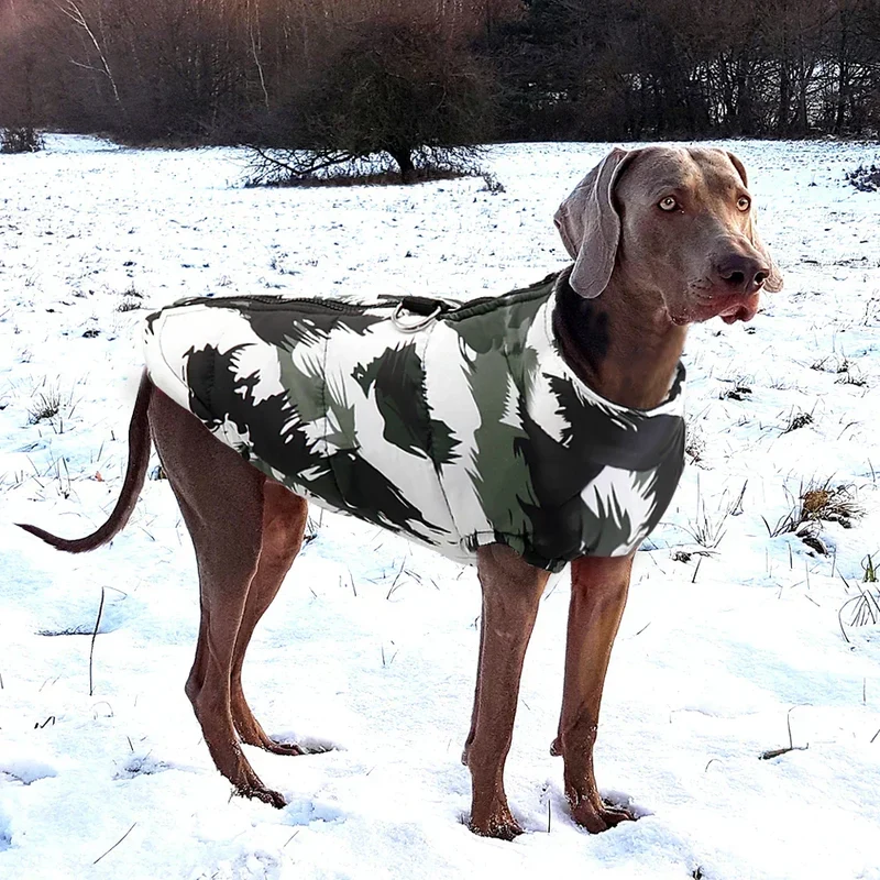 Elegant vinterfrakke til hunde - PawElite model