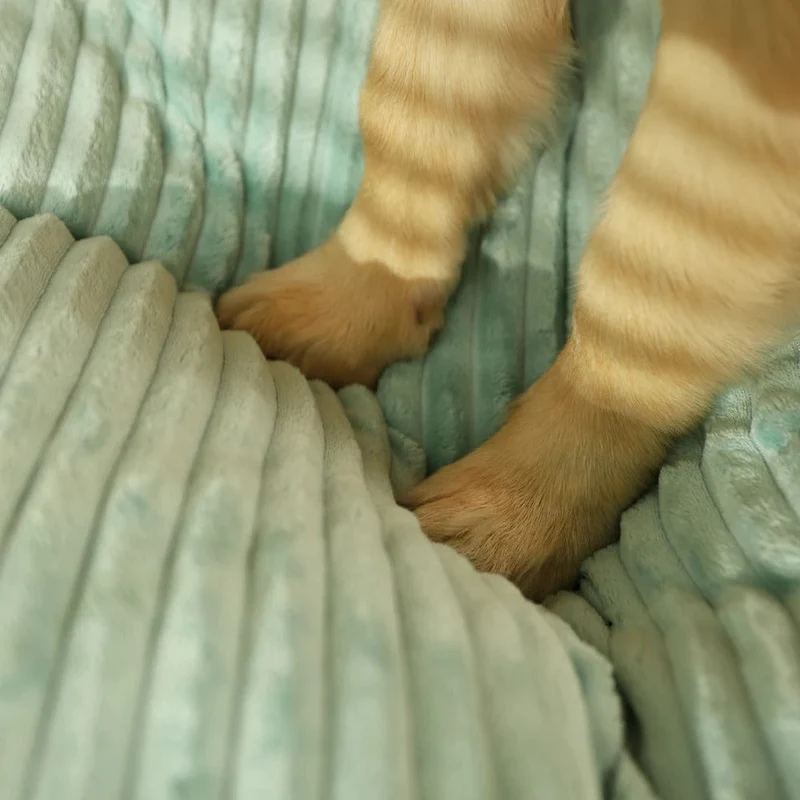 Hundeseng i blødt stof | Vaskbar og ultra blød pet seng