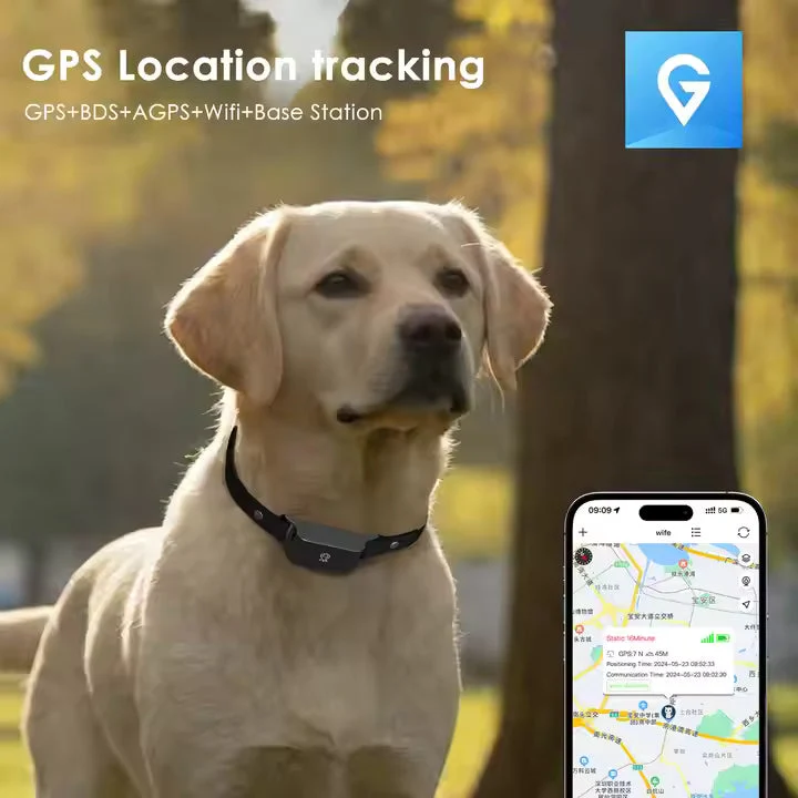 Vandtæt GPS-halsbånd til hunde og katte