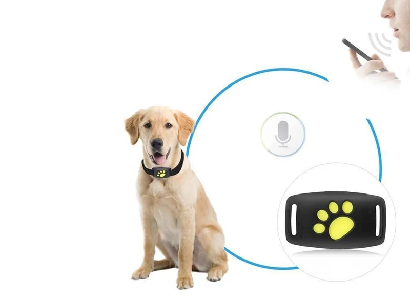 Intelligent GPS Tracker til Katte – Real-Time Positionering Uden Abonnement