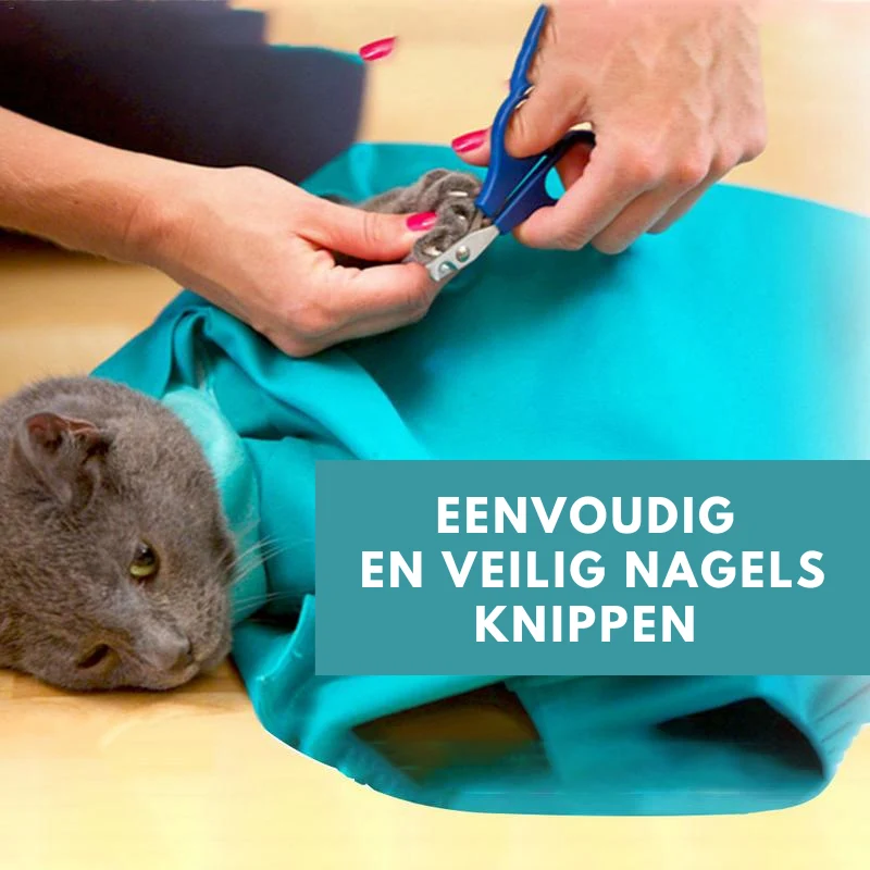 Bolsa de viaje para gatos para viajes confortables (Compra 1 y lleva 1 gratis) – PurrPorter