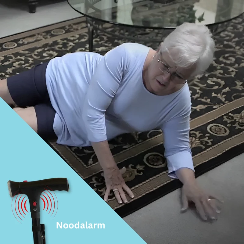 Selvstændighed med vores StepBuddy Gåstøtte