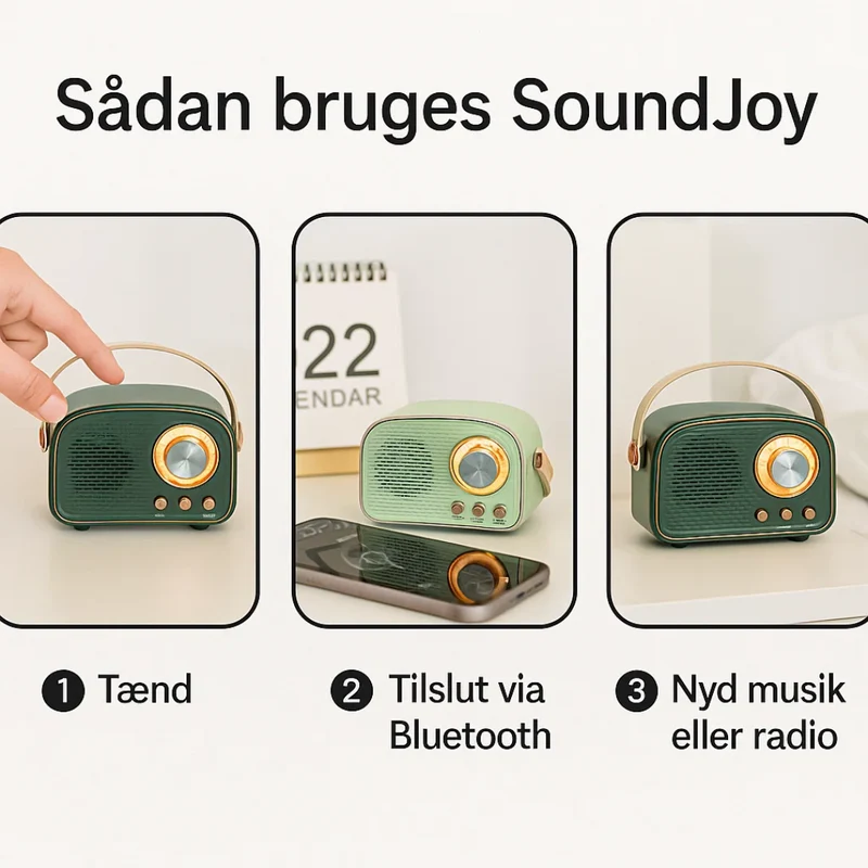 VintageLyric | Bærbar Bluetooth Højttaler med FM Radio