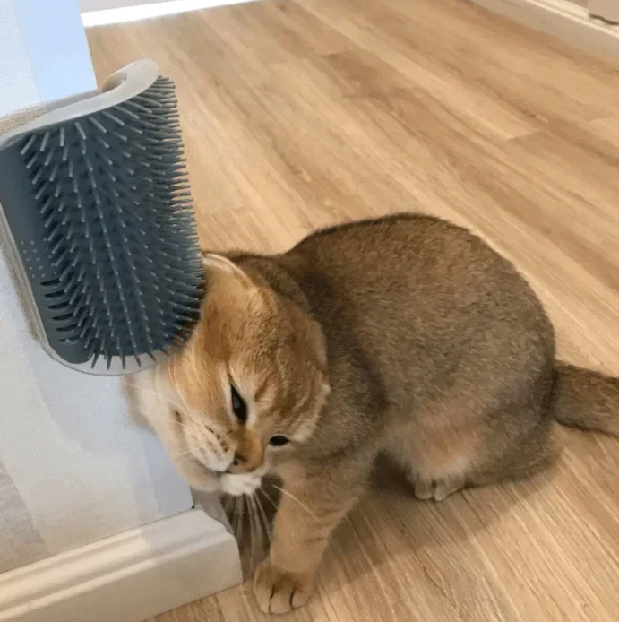 Selvpleje Børste til Katte - KløeKram
