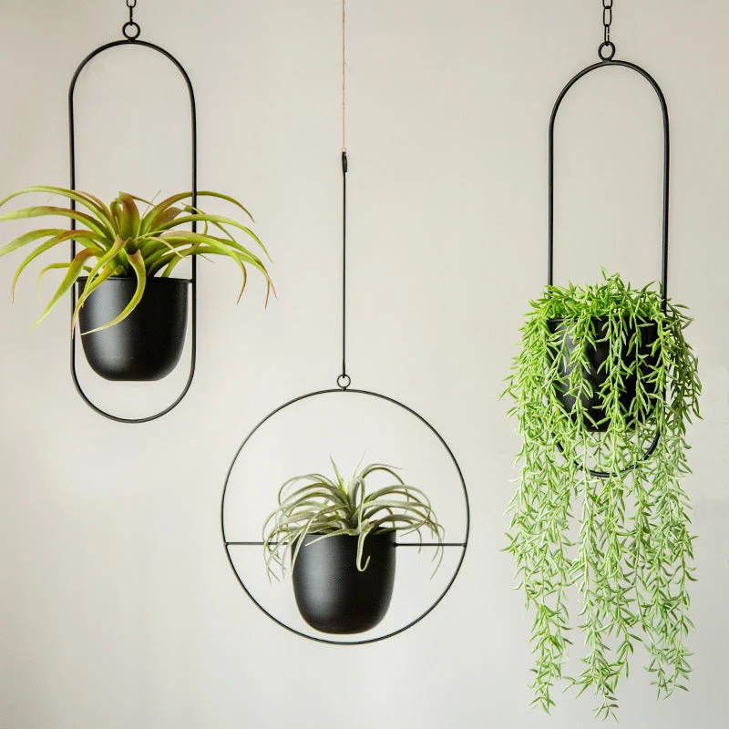 Moderne Hængende Planter til Dit Hjem