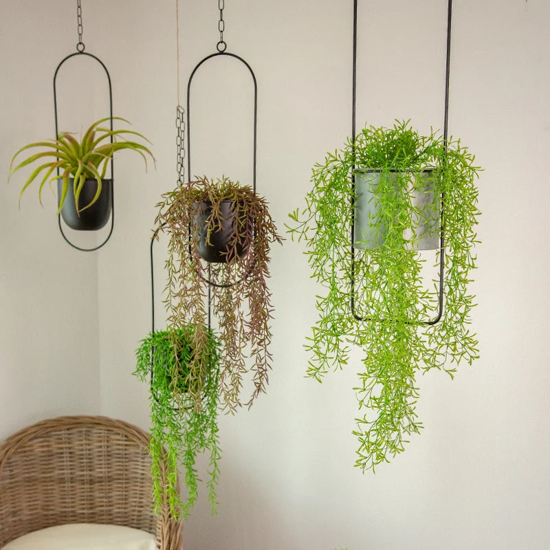 Moderne Hængende Planter til Dit Hjem