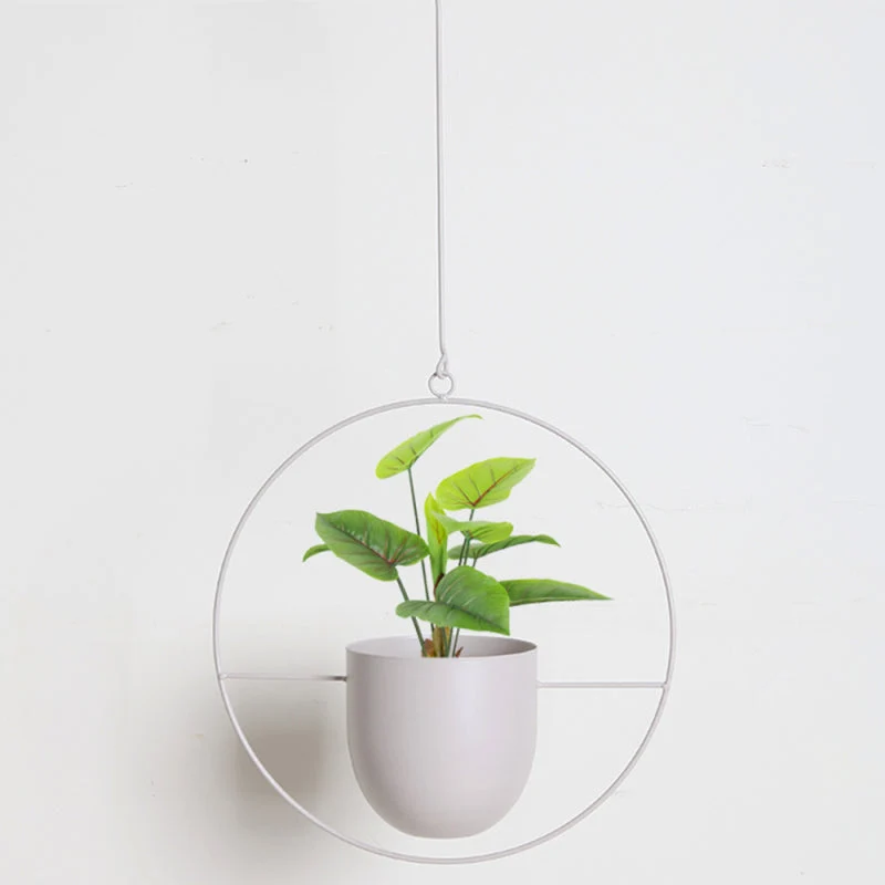 Moderne Hængende Planter til Dit Hjem