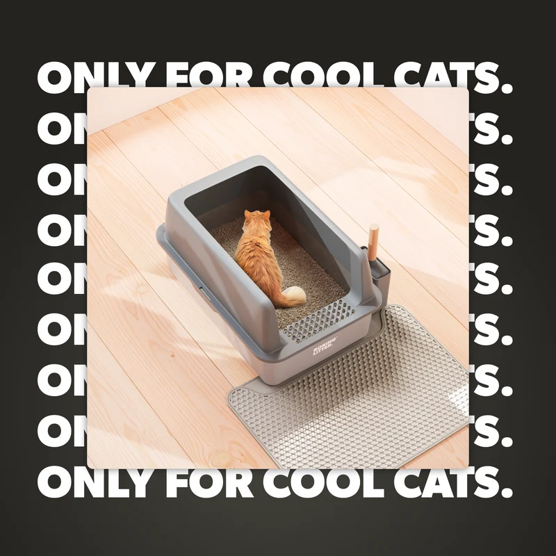 Hold dit hjem rent med den rustfrie kattebakke – CatGuard