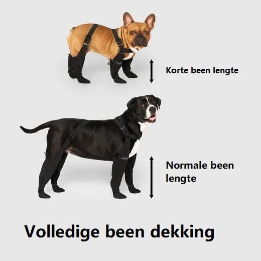 Vandtætte Støvler til Hunde | Beskyt Dine Kæledyr i Ethvert Vejr