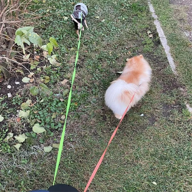 Knotfri Dobbelt Snor til Hunde